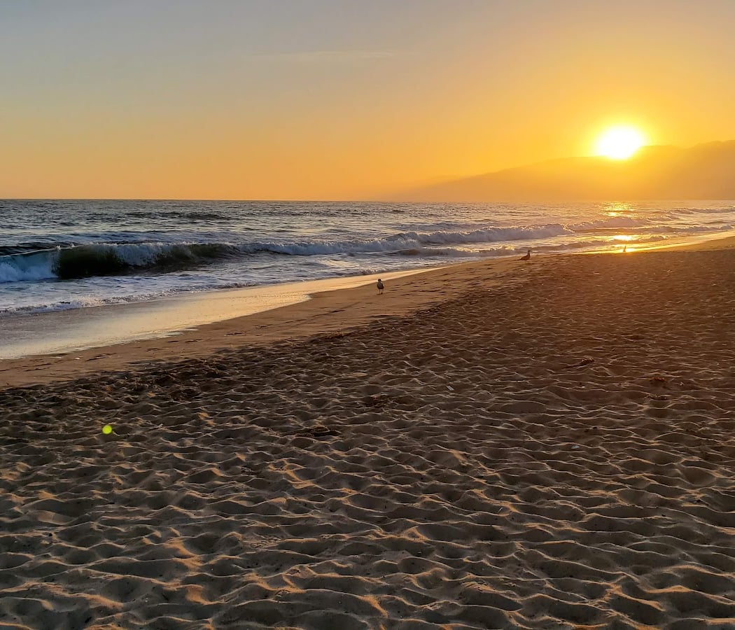 PRIDE Sunset Swim 3
