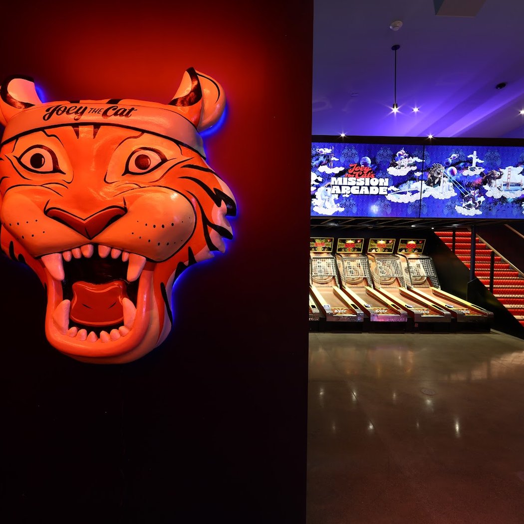Joey the Cat's Arcade 3