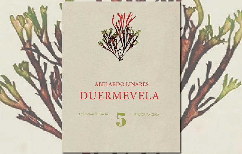 Presentación de “Duermevela” de Abelardo Linares 1