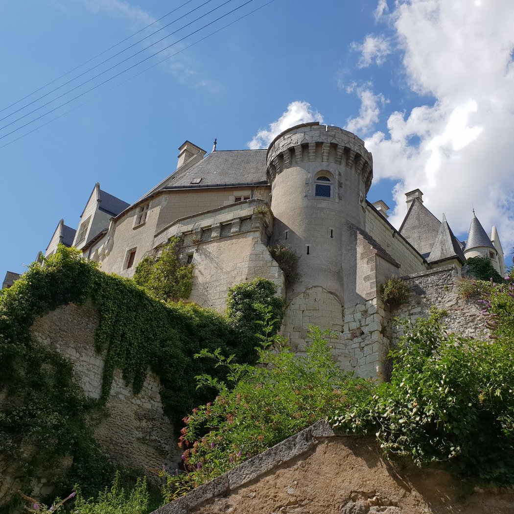 Château de Palluau-sur-Indre 3