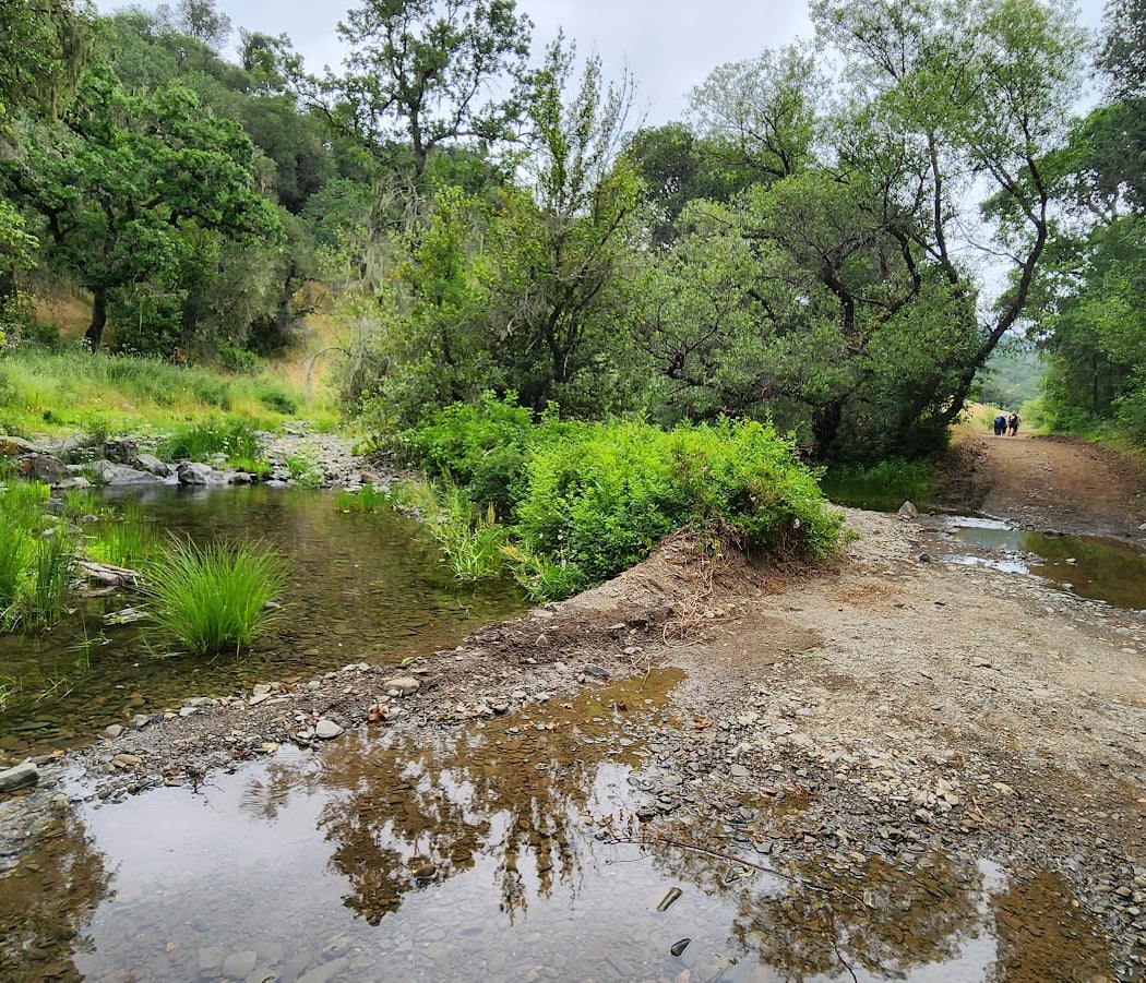 Henry W. Coe State Park 5K/10K Fun Run and Walk