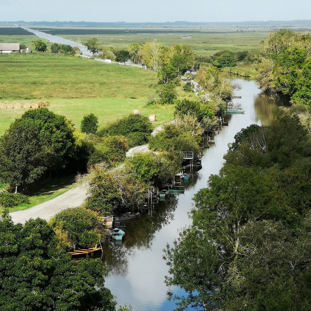 La Corrida du Belvédère 1