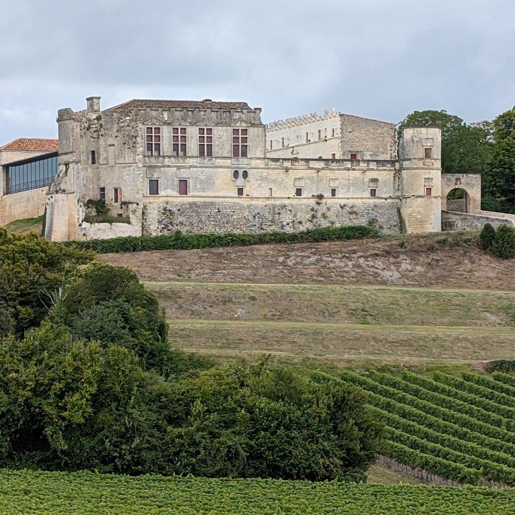 Château de Bouteville 1