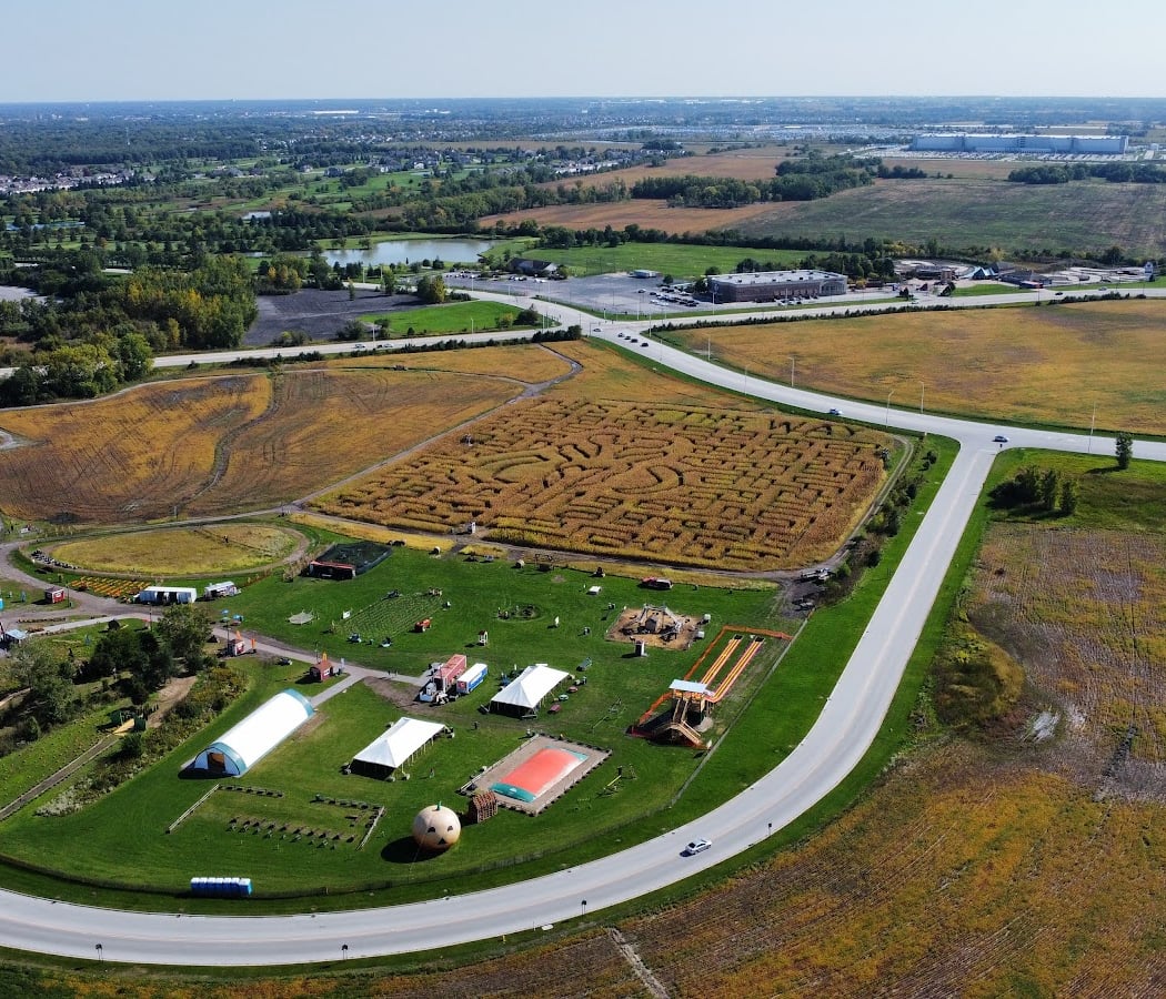 Odyssey Fun Farm: Corn Maze 4