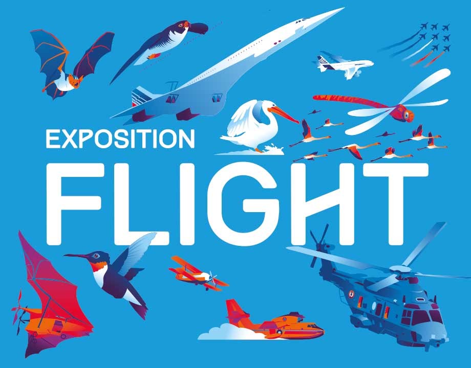 Flight 1