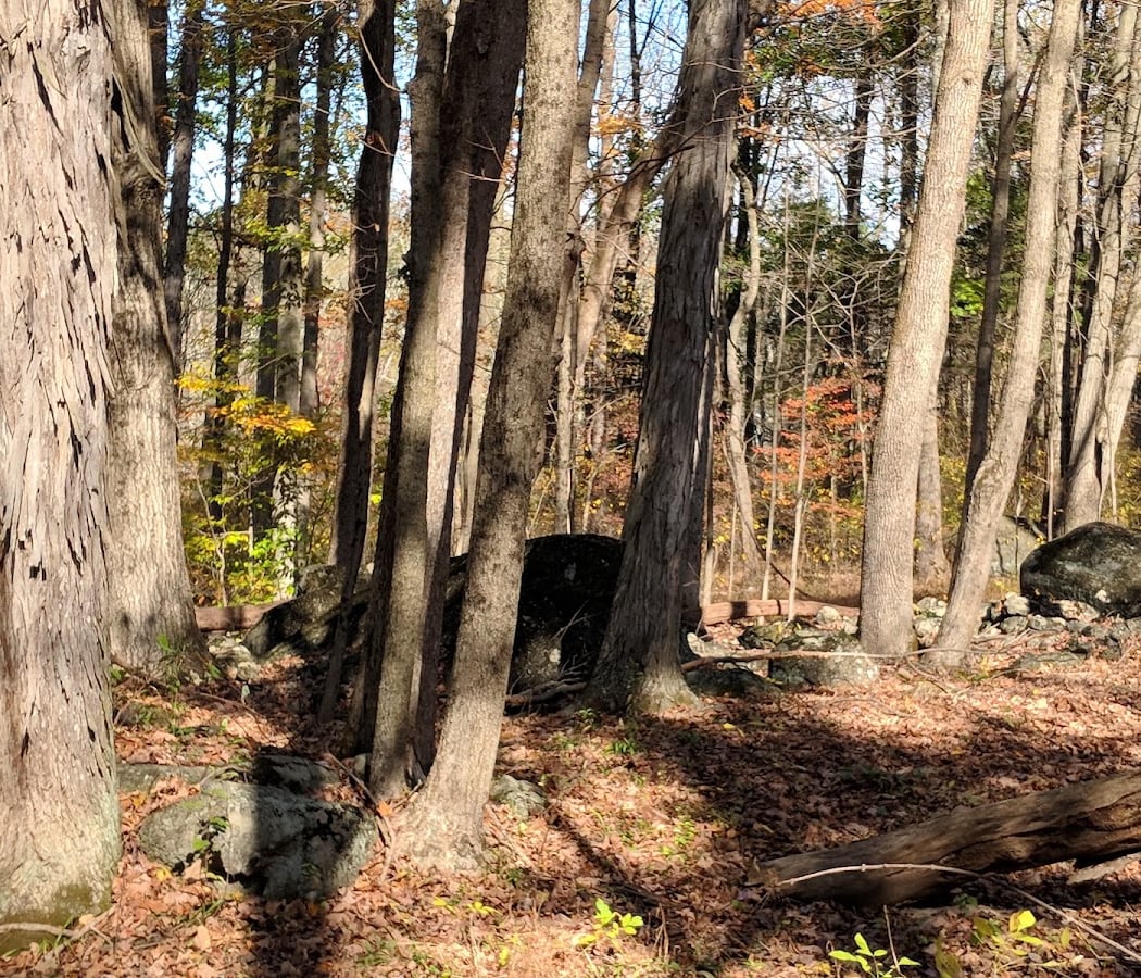 Manderfield Preserve 3