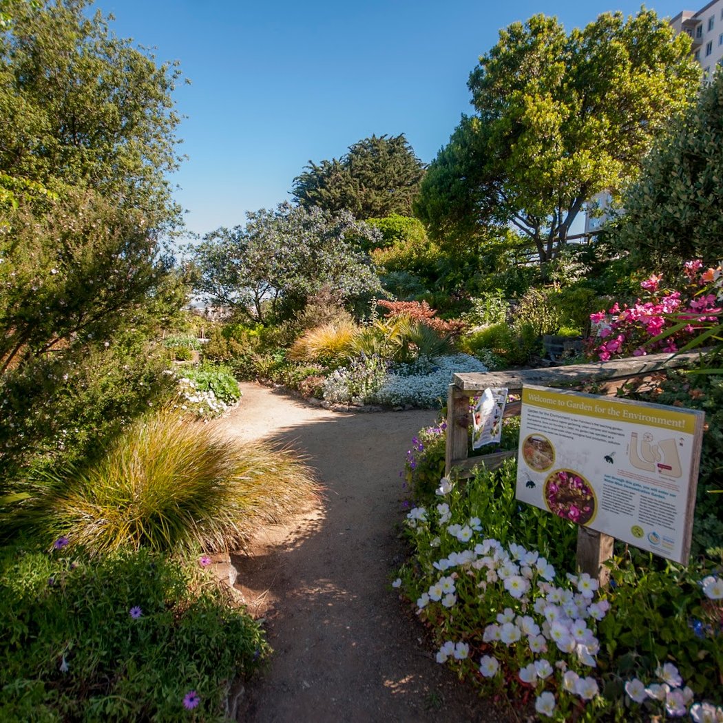 Garden for the Environment 1