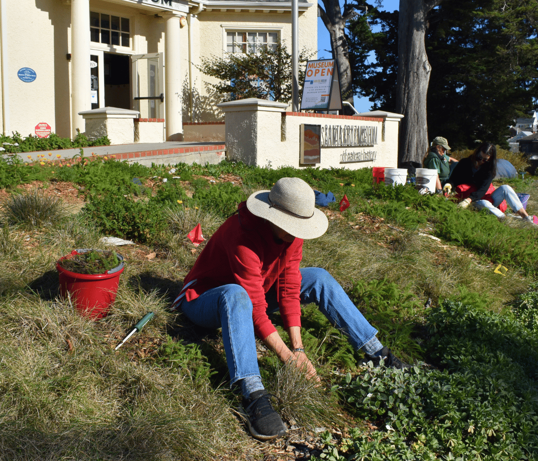 Saturdays in the Soil