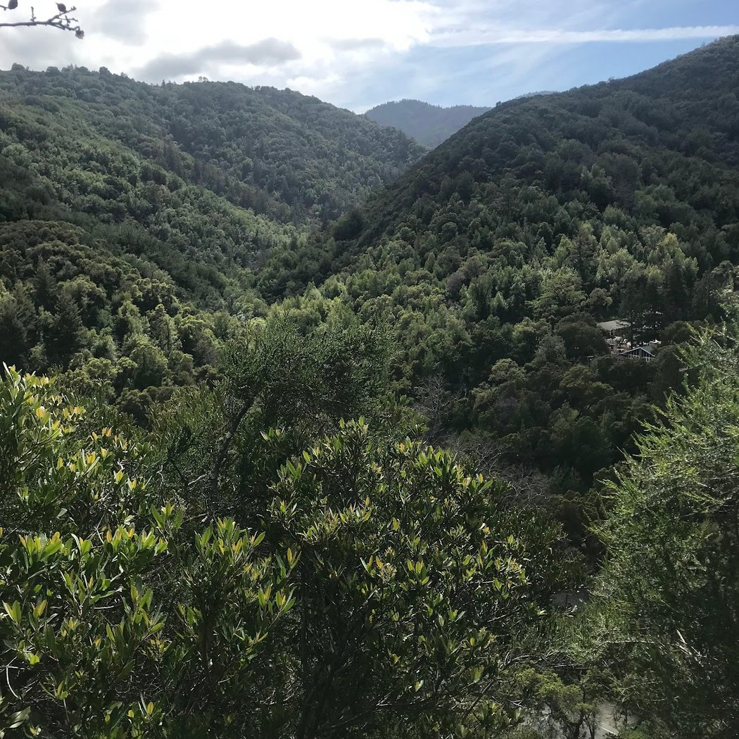 Sycamore Group Picnic Area 2
