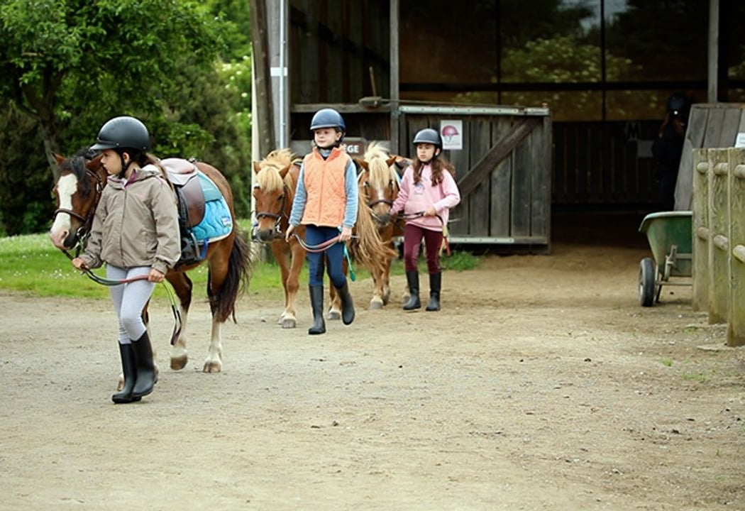 FERME EQUESTRE SESAME SERVICES 1