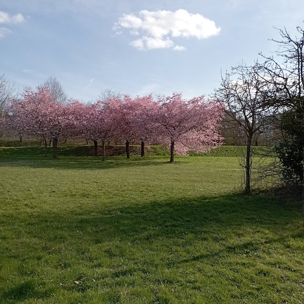 Bois de Bondy 5
