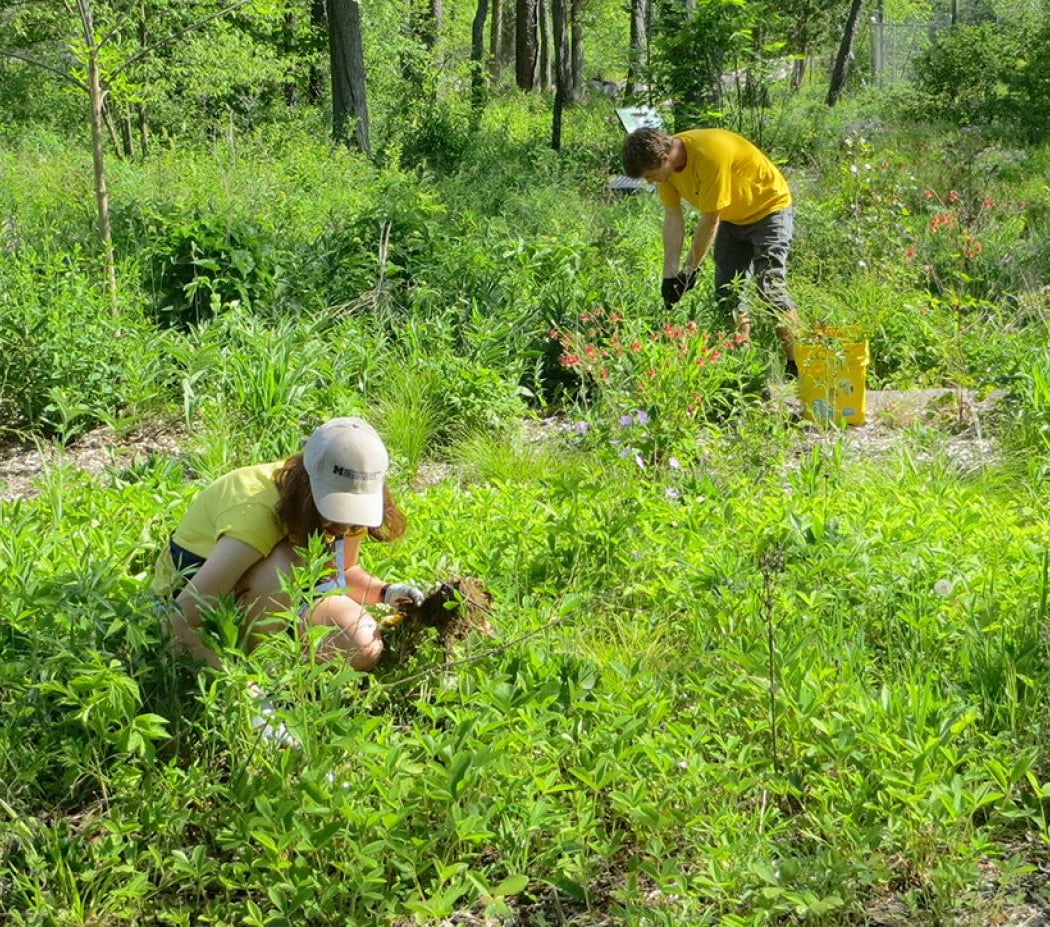 Glenbrook FF Meadow Restoration & Garden Workday 2