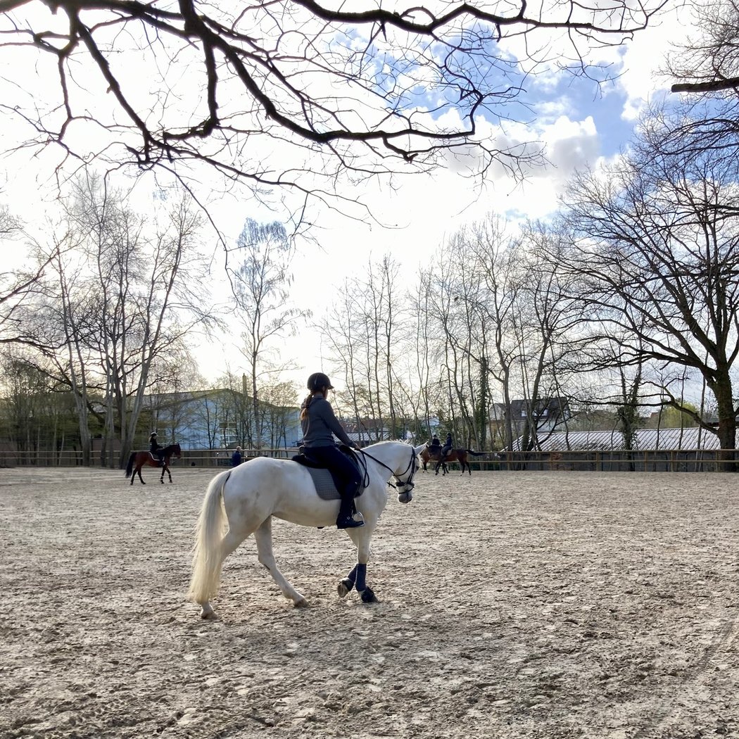 Equestrian Club De Versailles 3