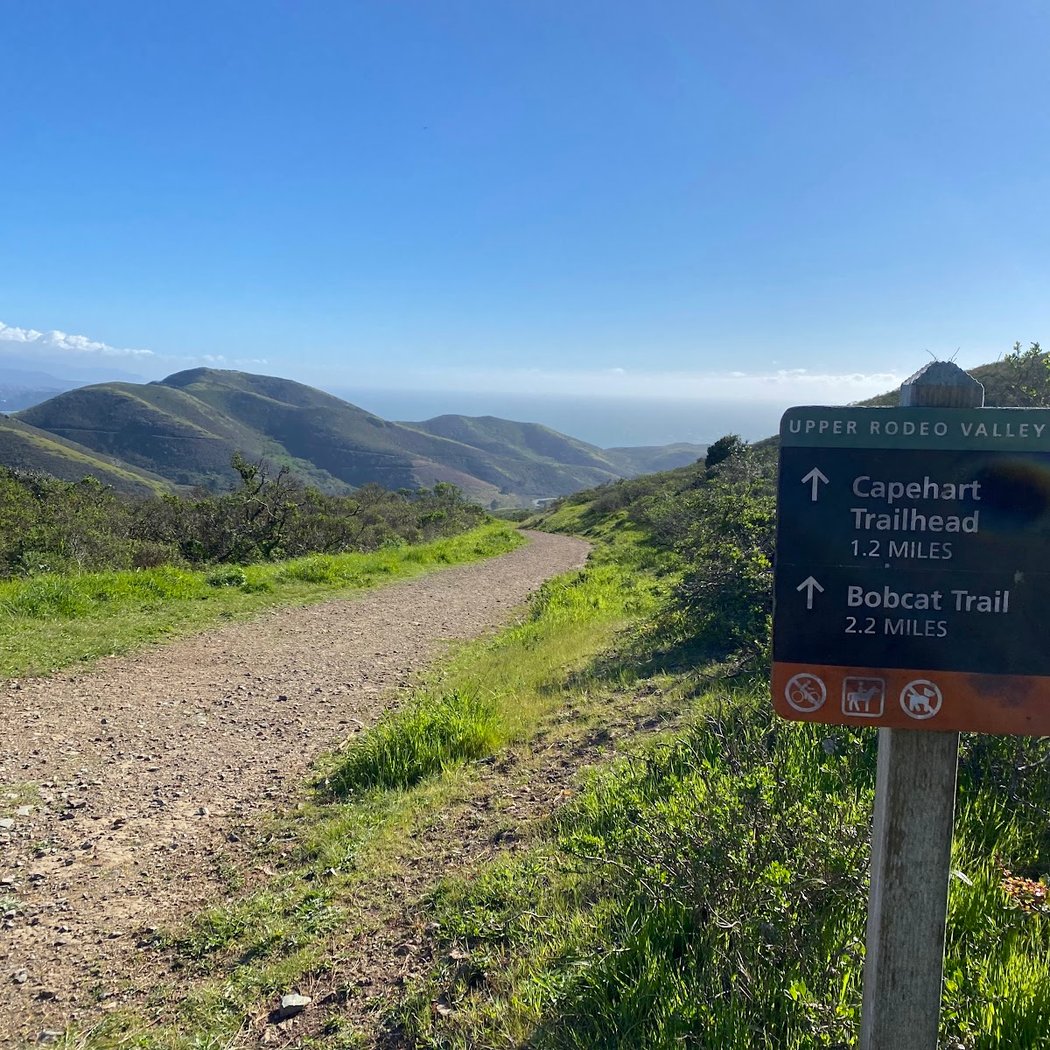 SCA Trail 3