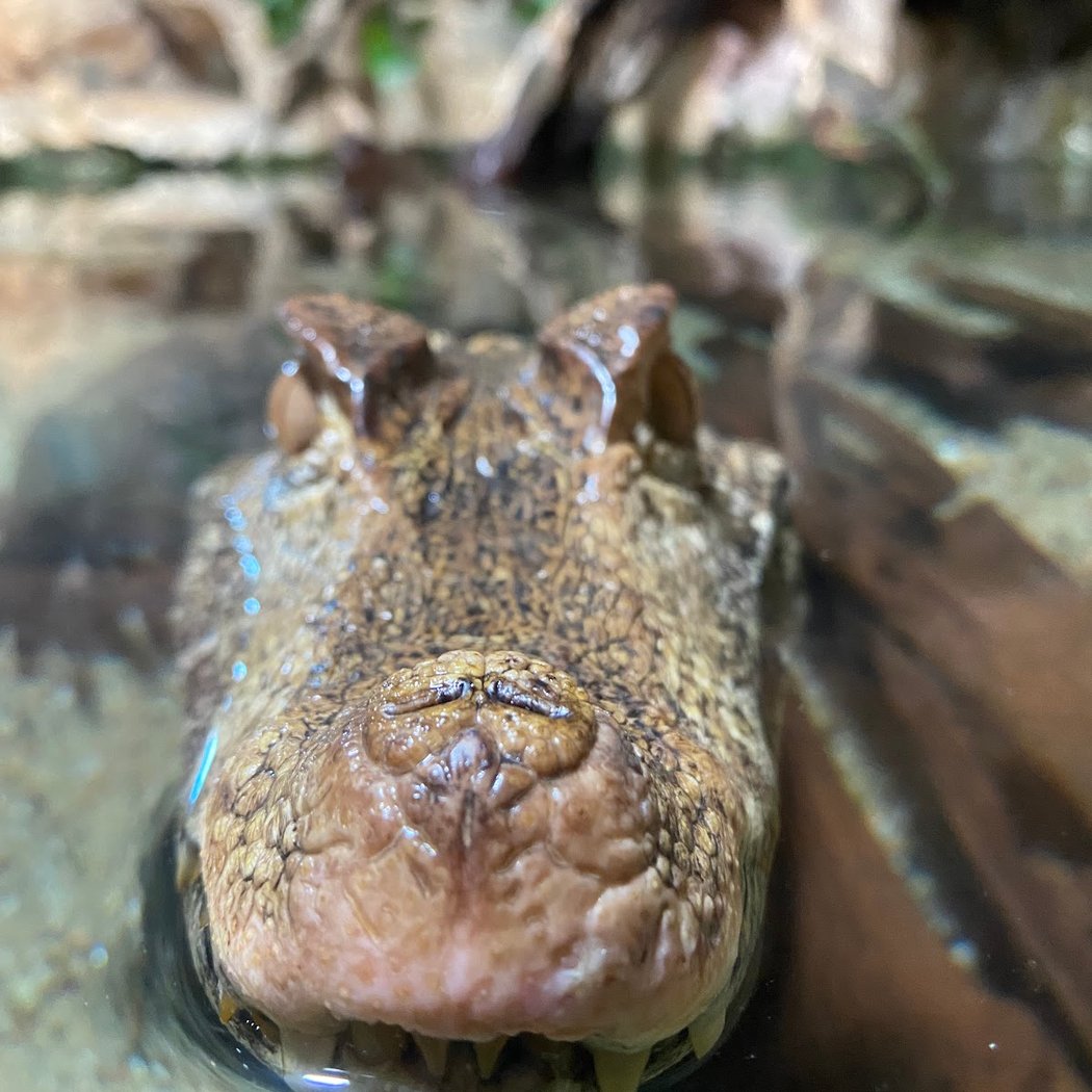 Aquarium du Limousin 1