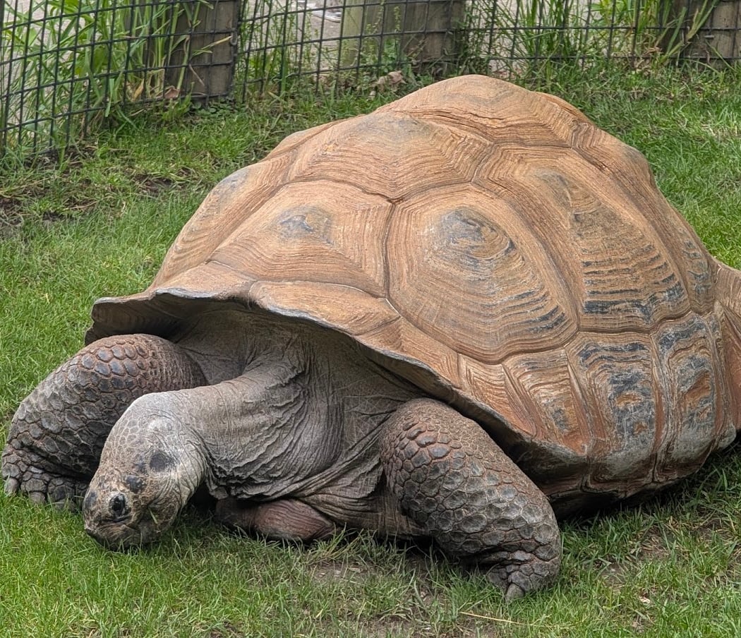 Akron Zoo 3