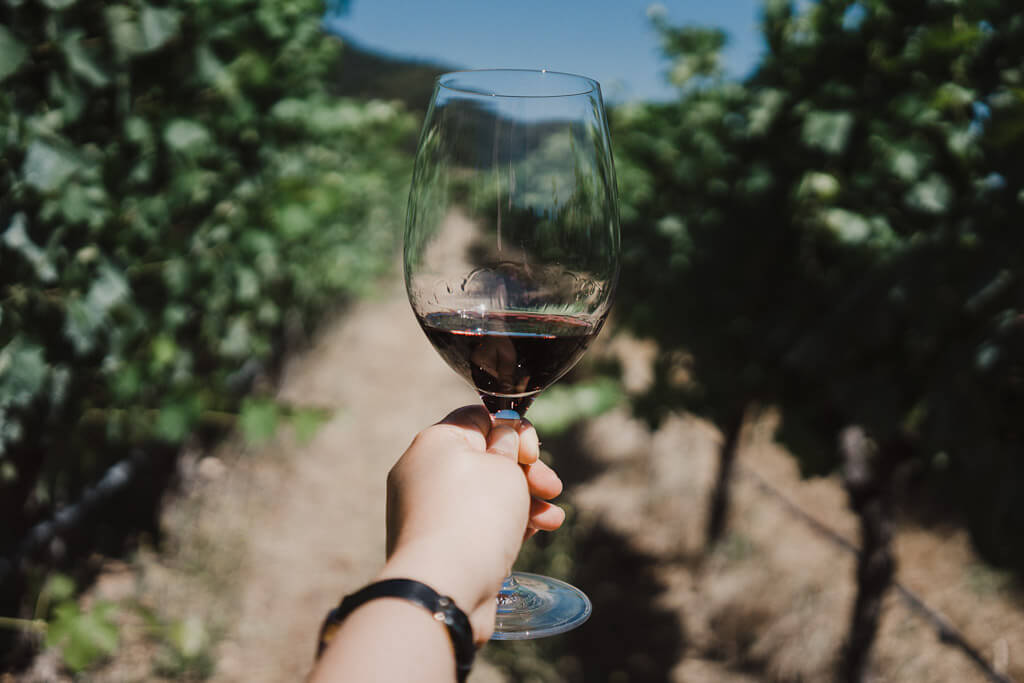 Del Valle Winery 3