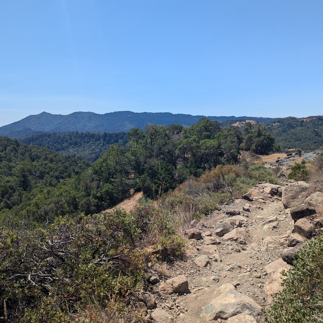 Marin 4-H Camp 5