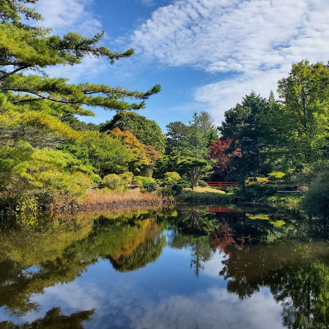 Mytoi Japanese Garden 1