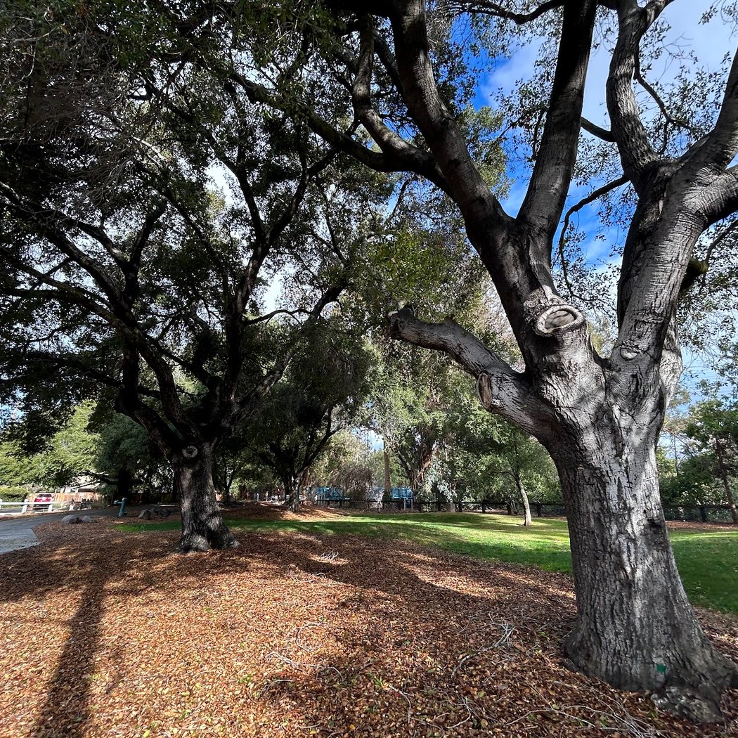 Sleeper Park 2