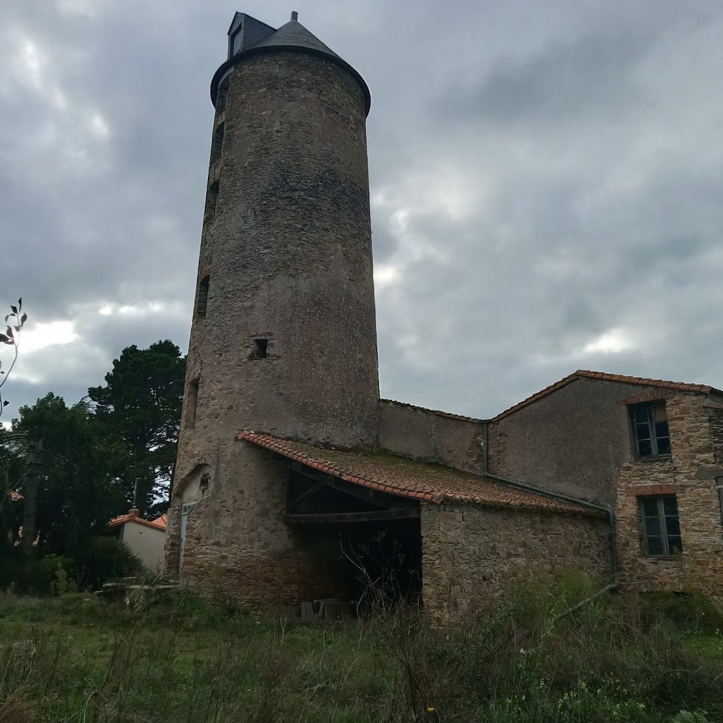 Foires, salons, brocantes et bourses 3