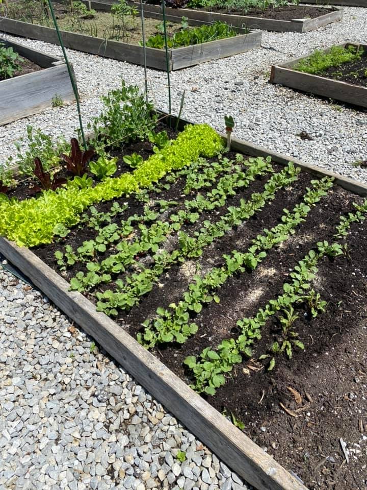 Avon Lake Community Garden 1