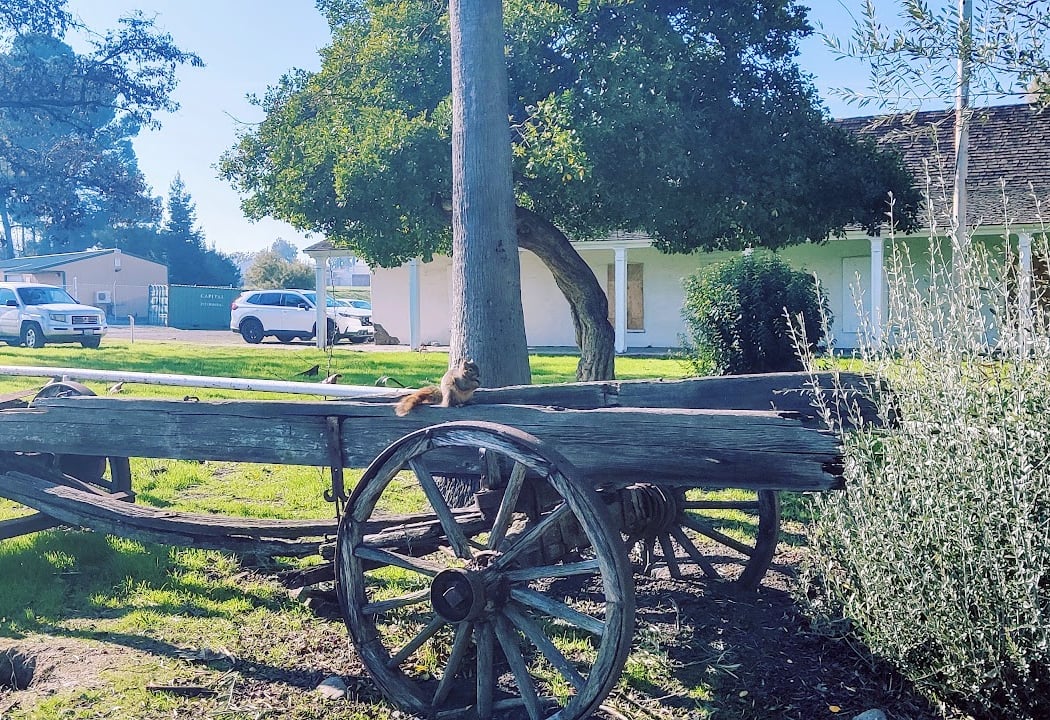 Don Fernando Pacheco Adobe (California Historical Landmark No. 455) 2