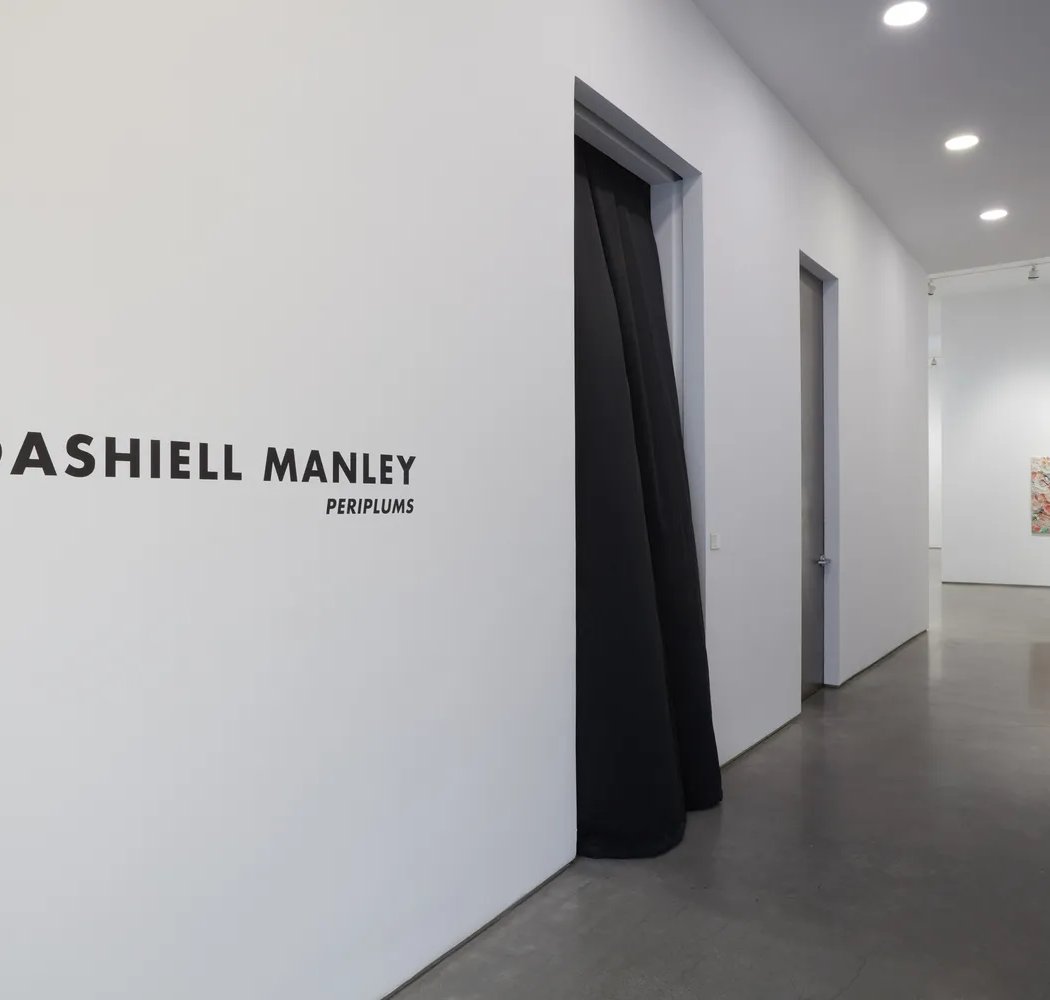 Dashiell Manley | Periplums 2