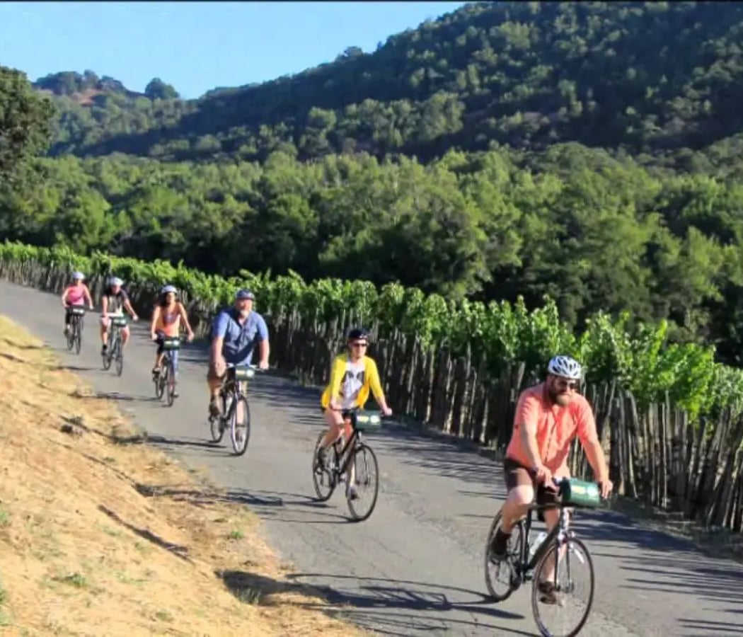 Napa Valley Vine Trail 1