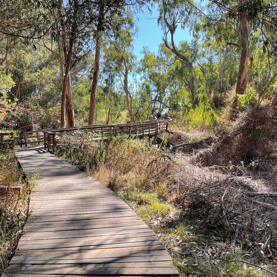 Natural Bridges Monarch Trail 2