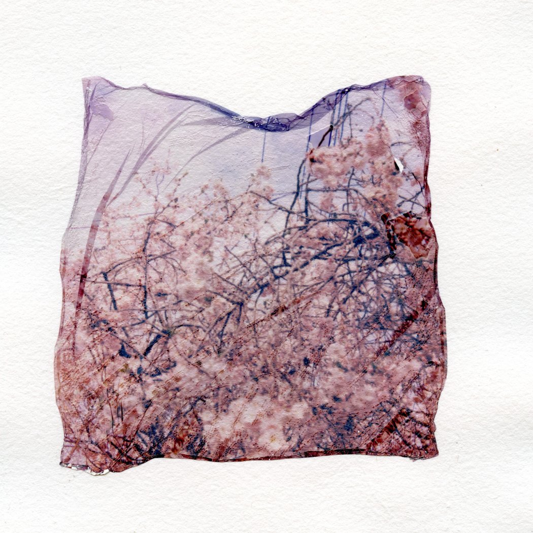 Summer Nights: Polaroid Transfer Printing with Jean Marques