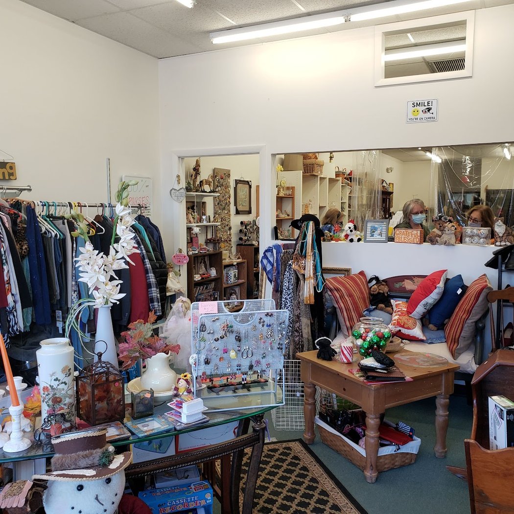 Safe Haven Thrift Shop & Pet Food Pantry 3