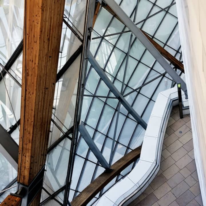 Fondation Louis Vuitton 3