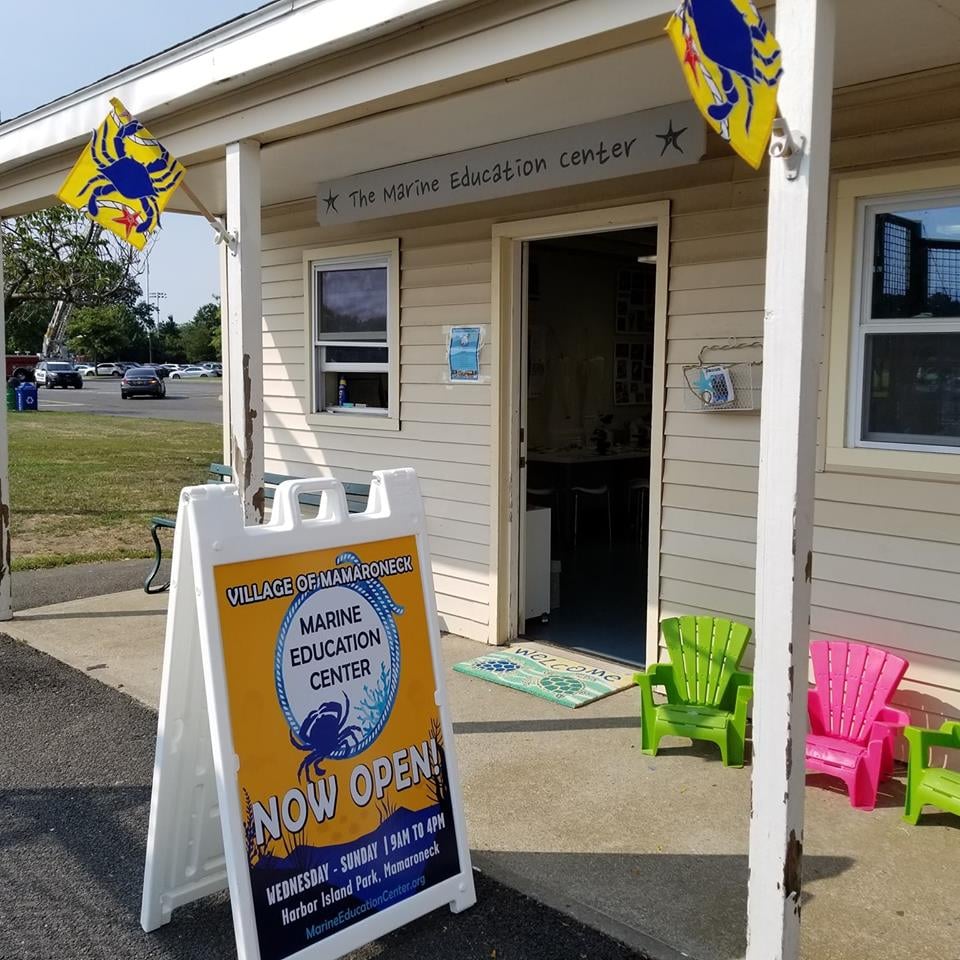 Marine Education Center 2