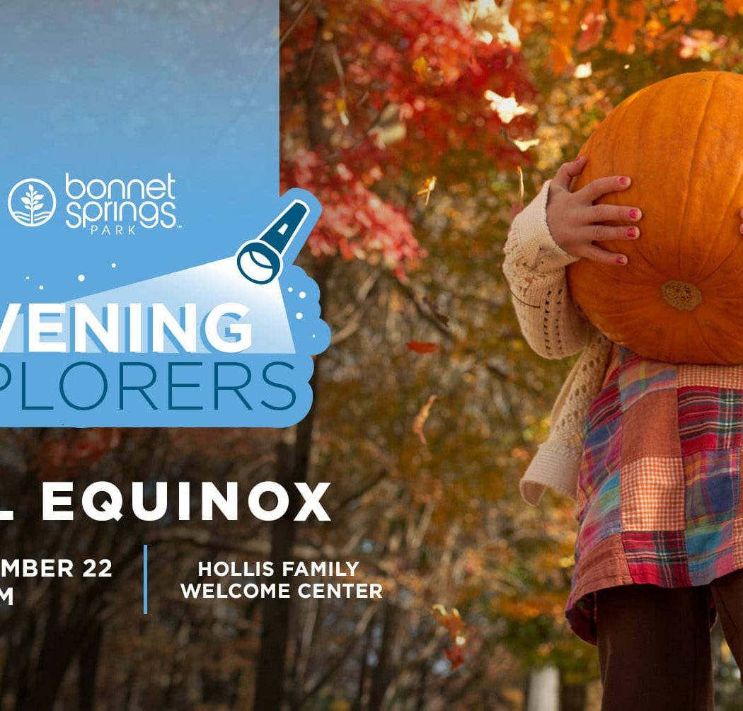 Evening Explorer: Fall Equinox 1