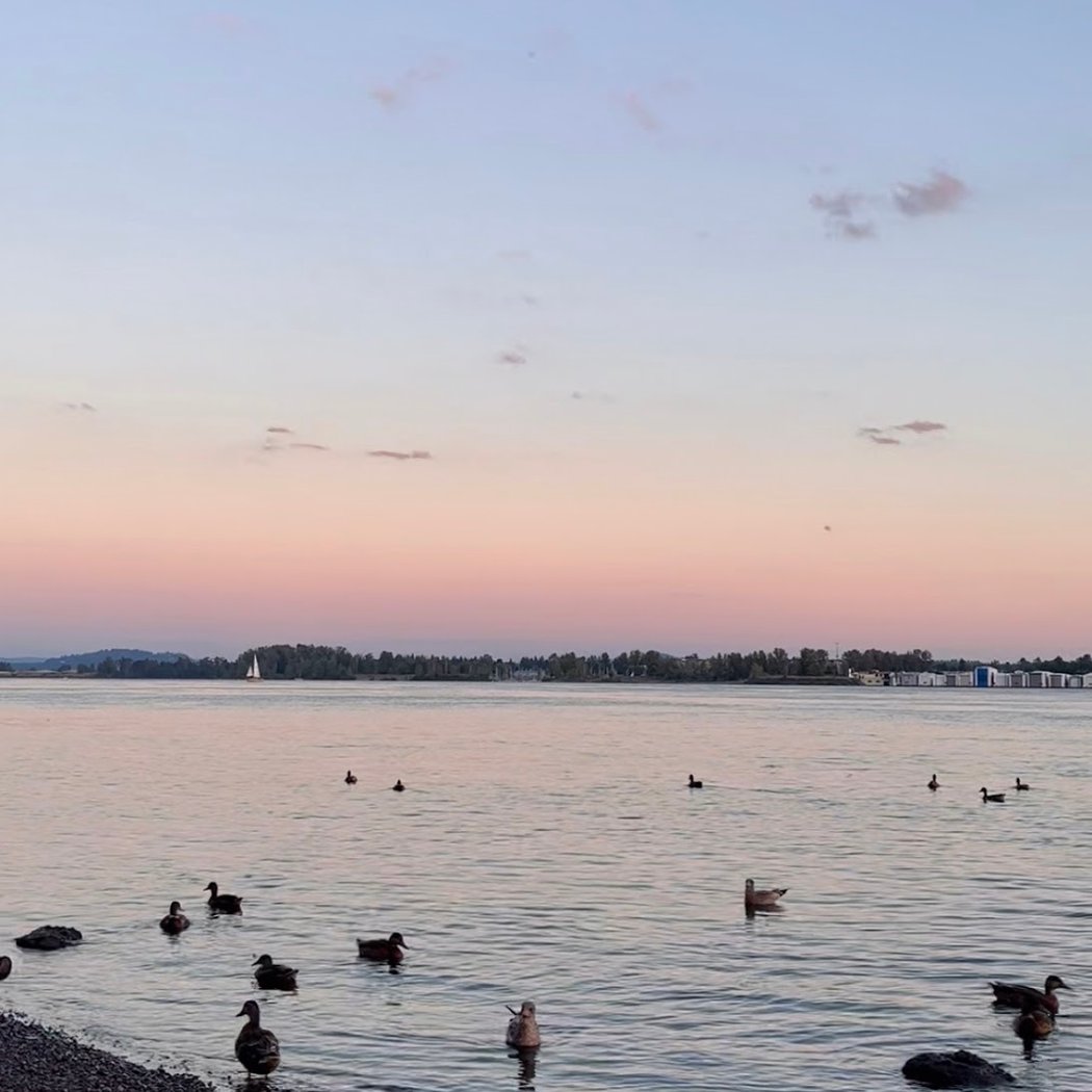 Vancouver Waterfront Park 3