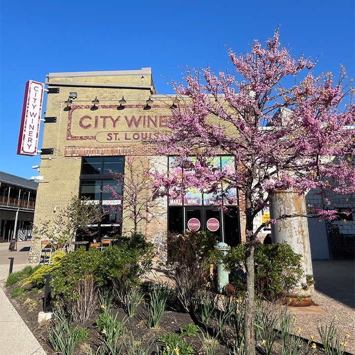 City Winery St. Louis 2