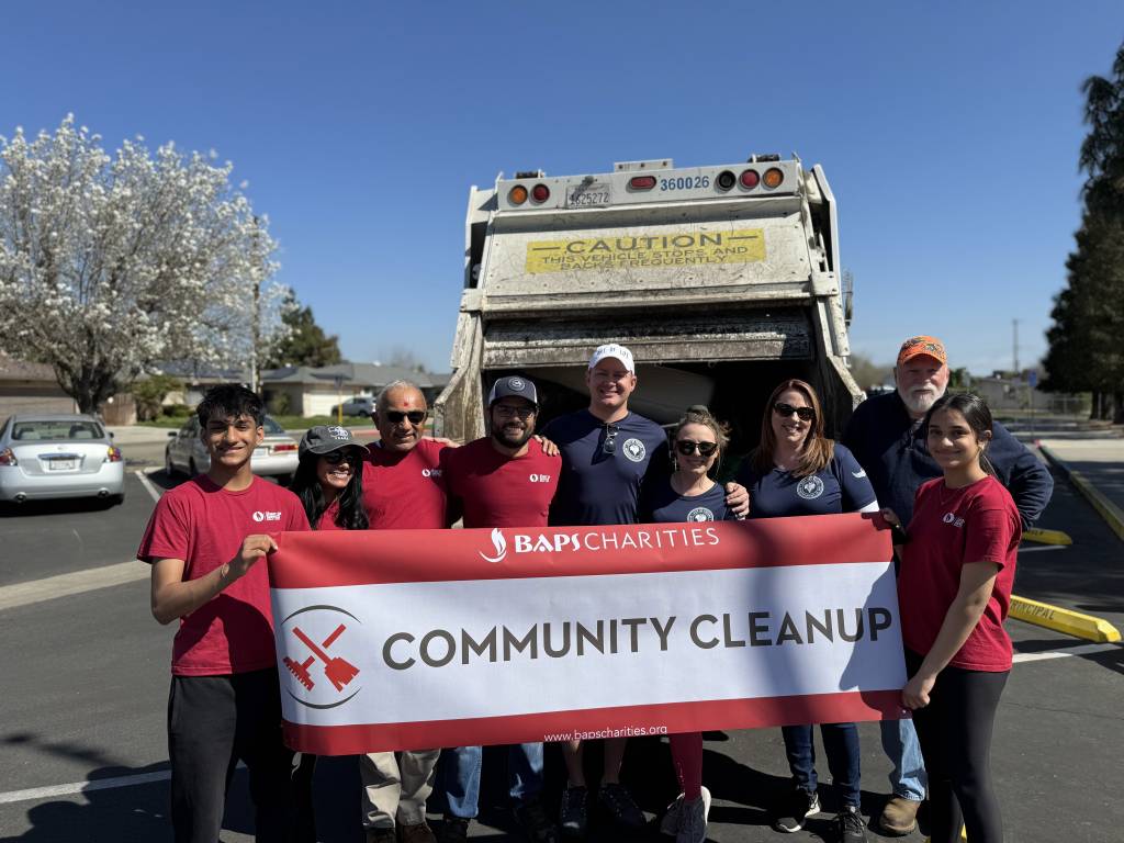 Holmes Playground Area Cleanup 3