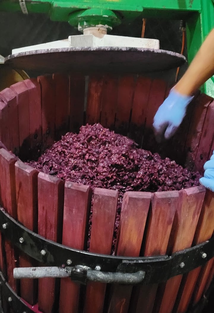 Make Wine With Us 1