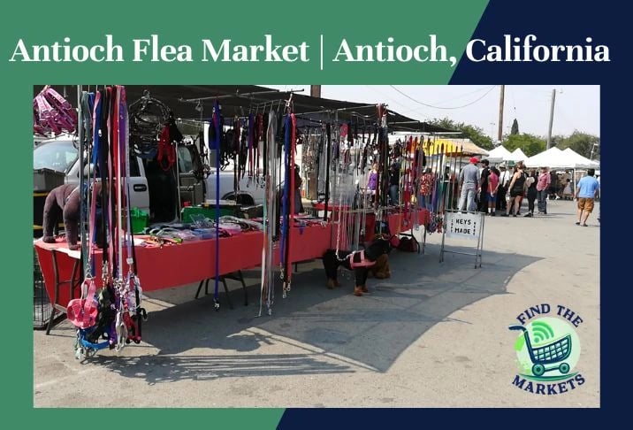 Antioch Flea Market 2