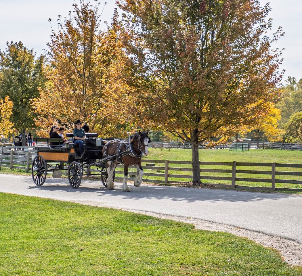 Lake Metroparks Farmpark (interactive farm play) 2