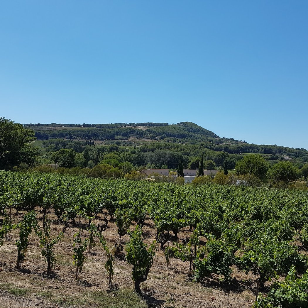 Domaine Tempier 3
