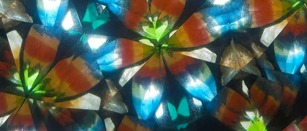 Observers of Beautiful Forms 1