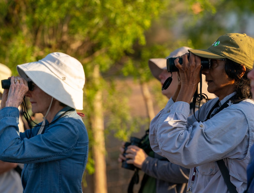 FLOC: First Friday Birding 1