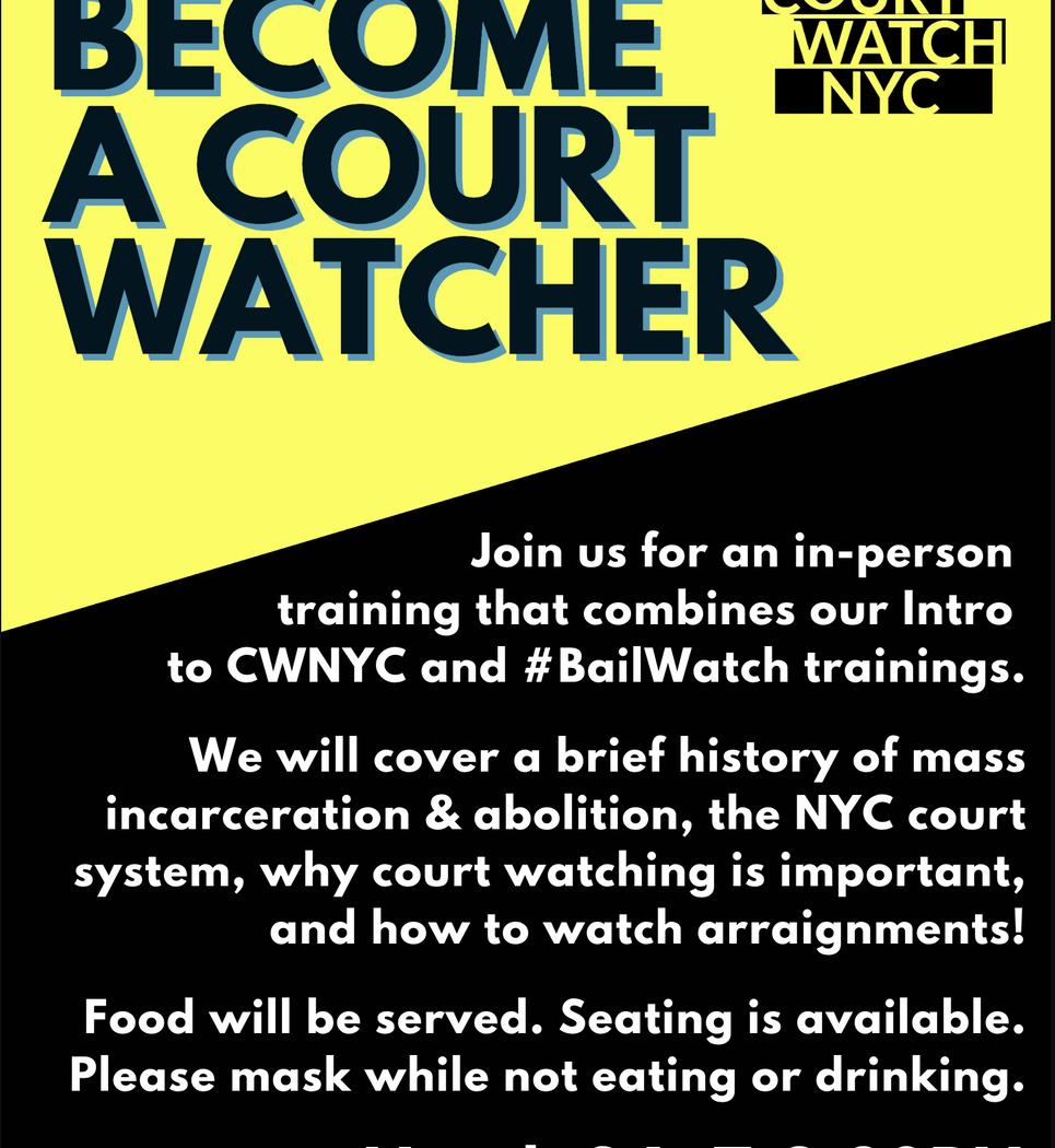 Court Watch NYC: Intro and Bail Watch Training 1