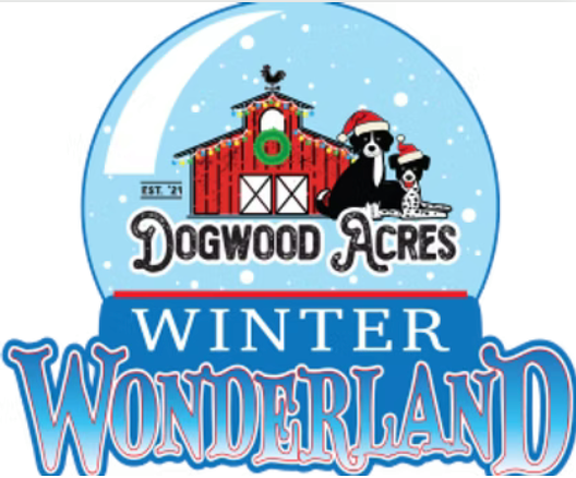 Winter Wonderland 1