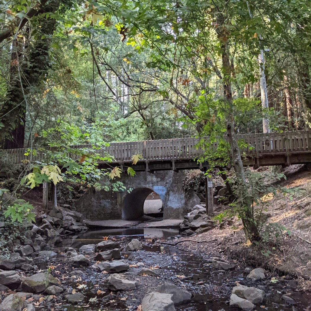 Mill Valley Outdoor Art Festival 3