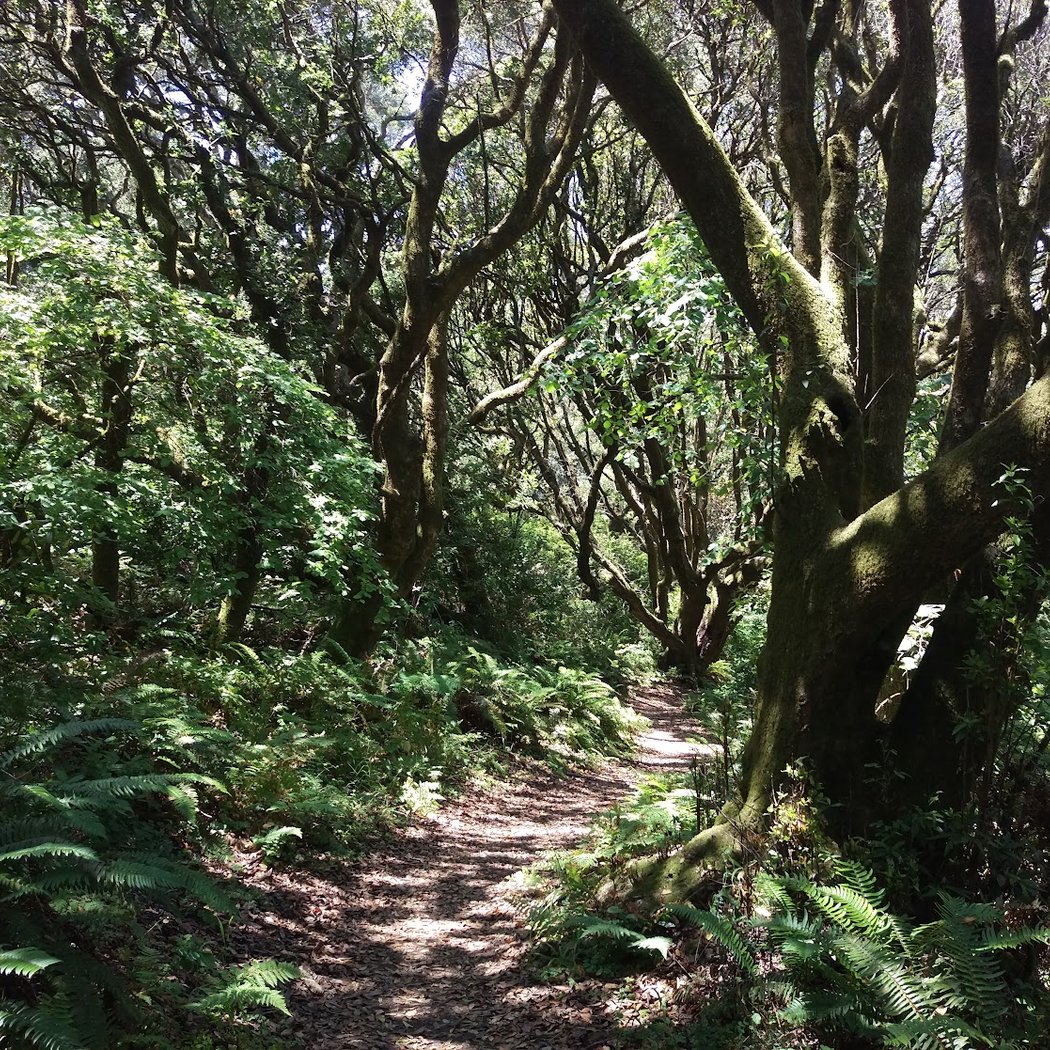 Indian Nature Trail 1