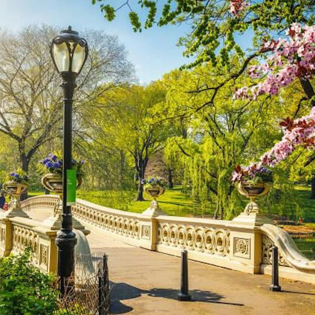 Central Park Singles Sunset Stroll 1