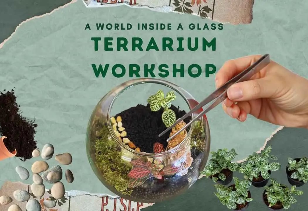 A World Inside Glass - Terrarium Making Workshop 7th Edition